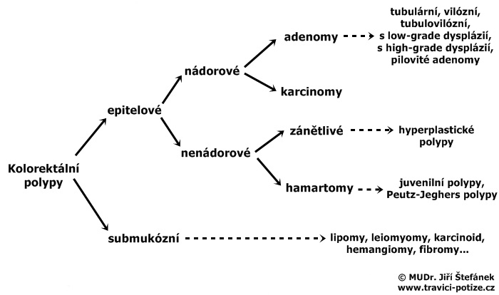 Polypy kolorekta